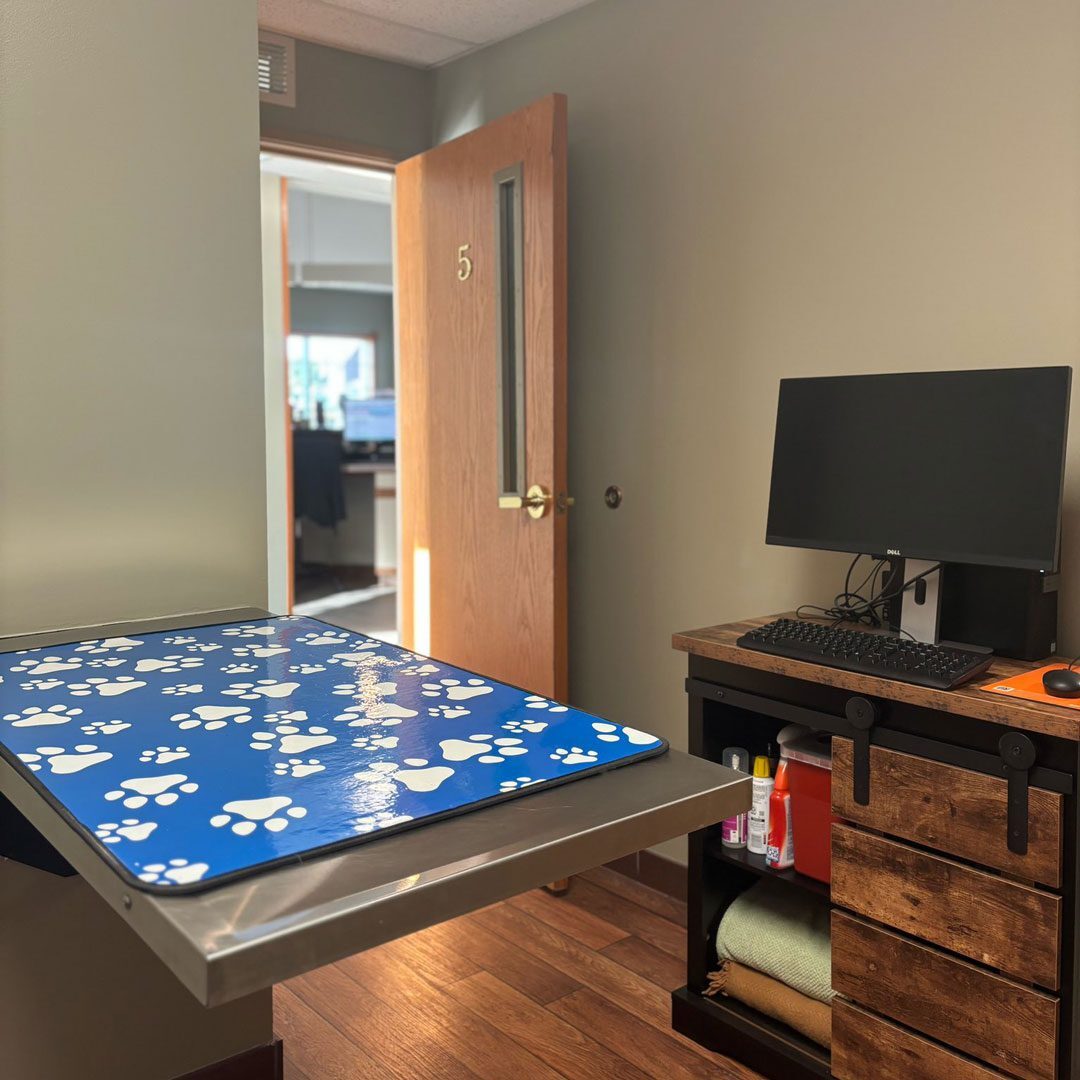 veterinary exam room at pleasant prairie animal hospital
