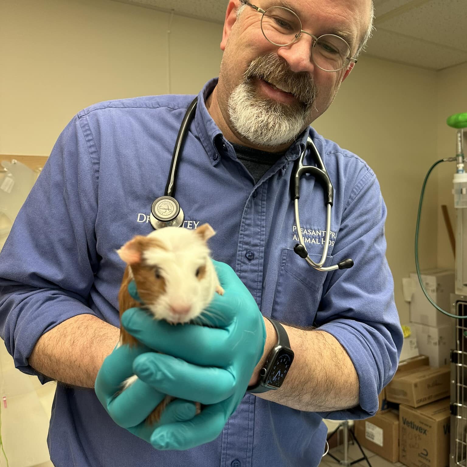 terry pettey dvm smiling and holding a Guinea pig