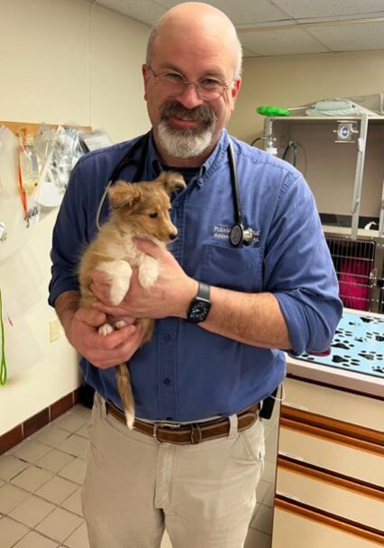terry pettey dvm smiling and holding a collie puppy